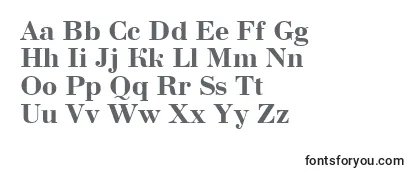 ABodoninovaBold-fontti