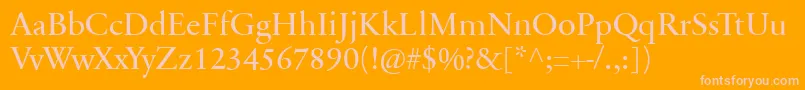 SabonnextLtRegular Font – Pink Fonts on Orange Background