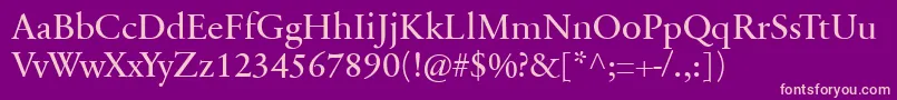 SabonnextLtRegular Font – Pink Fonts on Purple Background