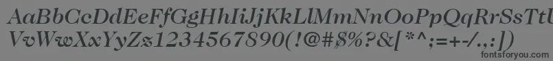 fuente ItcCaslon224LtMediumItalic – Fuentes Negras Sobre Fondo Gris