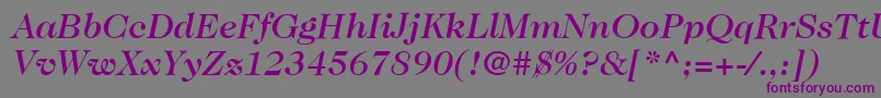 ItcCaslon224LtMediumItalic Font – Purple Fonts on Gray Background