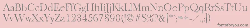 BaskeroldantiqueLightRegular Font – Gray Fonts on Pink Background