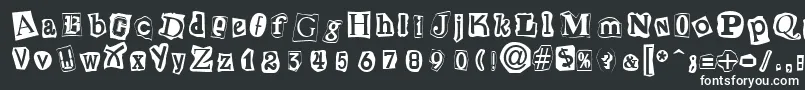 CutNPasteRegular Font – White Fonts