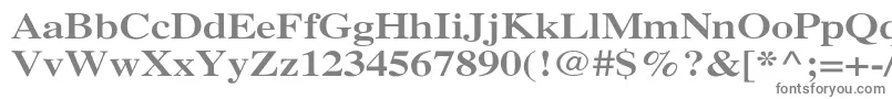 フォントXeroxSerifWideBold – 白い背景に灰色の文字