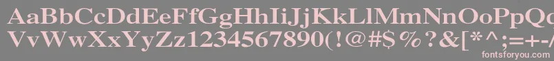 XeroxSerifWideBold Font – Pink Fonts on Gray Background