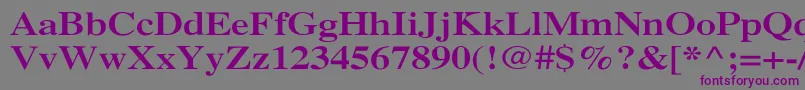 XeroxSerifWideBold Font – Purple Fonts on Gray Background