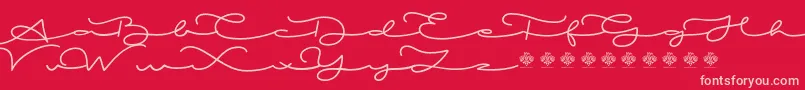 MiamorDemo-Schriftart – Rosa Schriften auf rotem Hintergrund