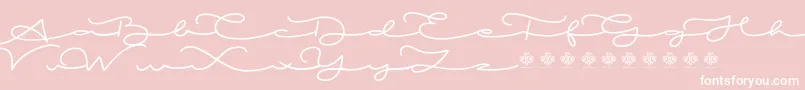 MiamorDemo-Schriftart – Weiße Schriften auf rosa Hintergrund