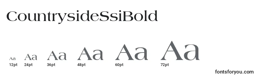 CountrysideSsiBold Font Sizes