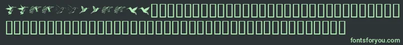 フォントKrReneesHummingbirds – 黒い背景に緑の文字