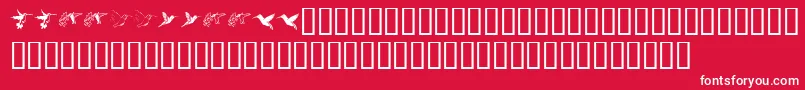 KrReneesHummingbirds Font – White Fonts on Red Background