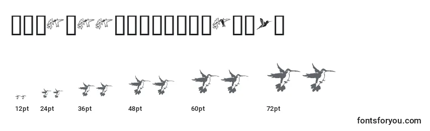 Größen der Schriftart KrReneesHummingbirds