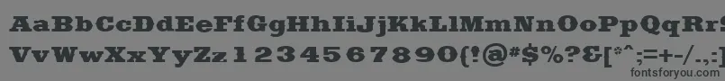 SaddlebagBlack-fontti – mustat fontit harmaalla taustalla
