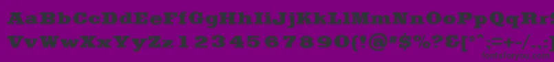 フォントSaddlebagBlack – 紫の背景に黒い文字