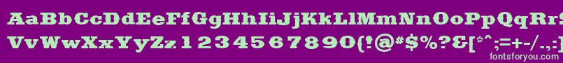 SaddlebagBlack-Schriftart – Grüne Schriften auf violettem Hintergrund