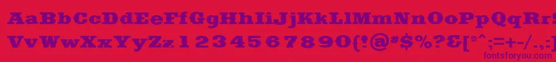 フォントSaddlebagBlack – 赤い背景に紫のフォント