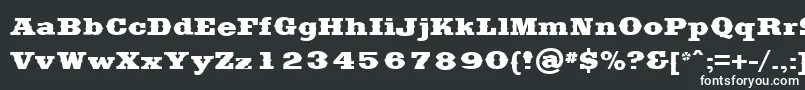フォントSaddlebagBlack – 黒い背景に白い文字