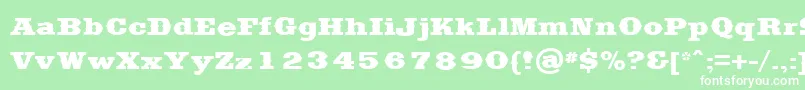 SaddlebagBlack Font – White Fonts on Green Background