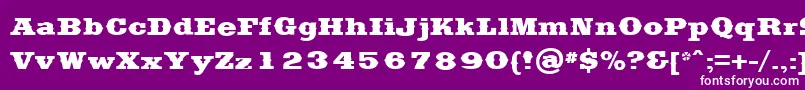 Шрифт SaddlebagBlack – белые шрифты на фиолетовом фоне