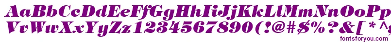 Timpaniheavy ffy Font – Purple Fonts on White Background