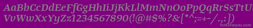 TangerserifwideSemibolditalic Font – Gray Fonts on Purple Background