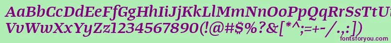 TangerserifwideSemibolditalic Font – Purple Fonts on Green Background