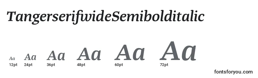 TangerserifwideSemibolditalic Font Sizes
