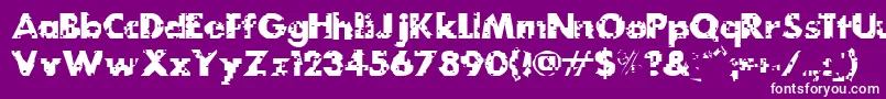 MydogspotgridBold Font – White Fonts on Purple Background