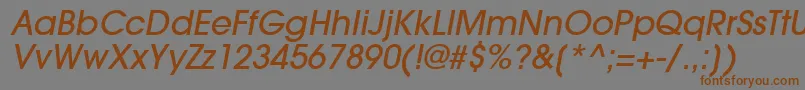 TrendexLightSsiMediumItalic Font – Brown Fonts on Gray Background