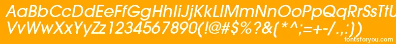 TrendexLightSsiMediumItalic Font – White Fonts on Orange Background