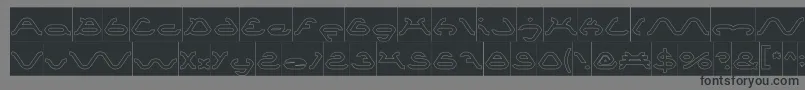 SpiderHollowInverse Font – Black Fonts on Gray Background