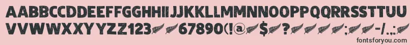 DkZealand Font – Black Fonts on Pink Background