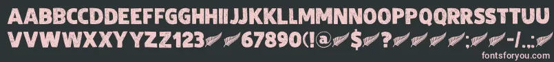 DkZealand Font – Pink Fonts on Black Background
