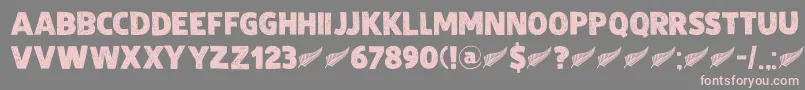 DkZealand Font – Pink Fonts on Gray Background