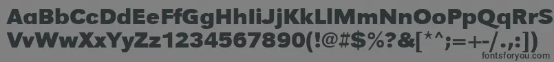 フォントUrwgrotesktwidBold – 黒い文字の灰色の背景