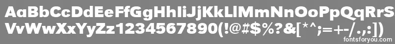 フォントUrwgrotesktwidBold – 灰色の背景に白い文字