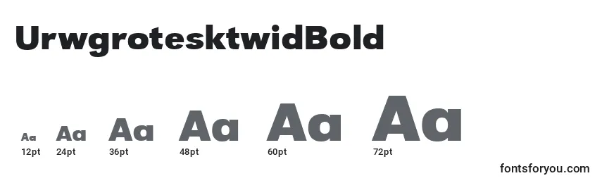 UrwgrotesktwidBold Font Sizes