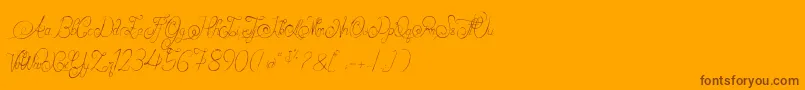 AlexandraOrlans Font – Brown Fonts on Orange Background