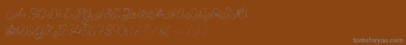 AlexandraOrlans Font – Gray Fonts on Brown Background