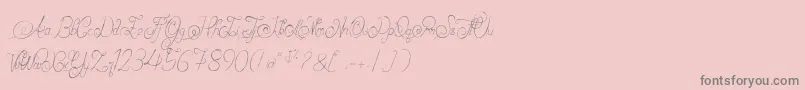 AlexandraOrlans Font – Gray Fonts on Pink Background