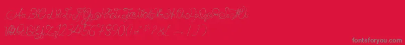 AlexandraOrlans-Schriftart – Graue Schriften auf rotem Hintergrund