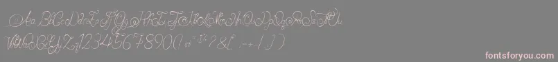 AlexandraOrlans Font – Pink Fonts on Gray Background