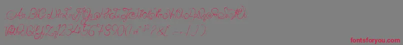 AlexandraOrlans Font – Red Fonts on Gray Background