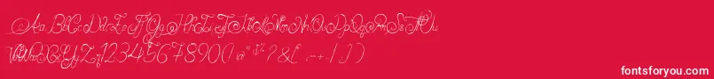 AlexandraOrlans Font – White Fonts on Red Background