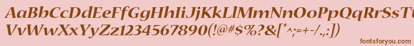 NuevastdBoldextendeditalic Font – Brown Fonts on Pink Background