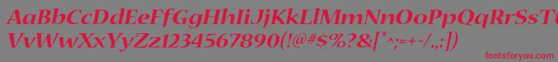 NuevastdBoldextendeditalic Font – Red Fonts on Gray Background