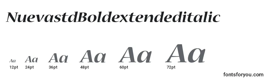 Размеры шрифта NuevastdBoldextendeditalic