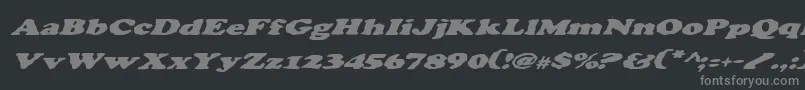 フォントCharlemagneItalic – 黒い背景に灰色の文字