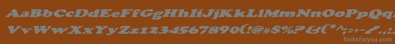 フォントCharlemagneItalic – 茶色の背景に灰色の文字