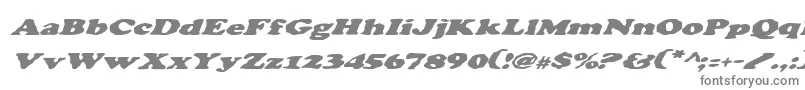 フォントCharlemagneItalic – 白い背景に灰色の文字